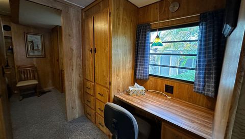 10843 Bonapartes Gull SE