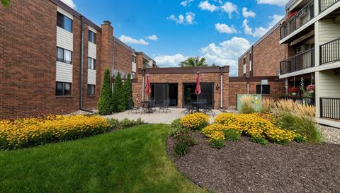 4 Pine Tree Drive