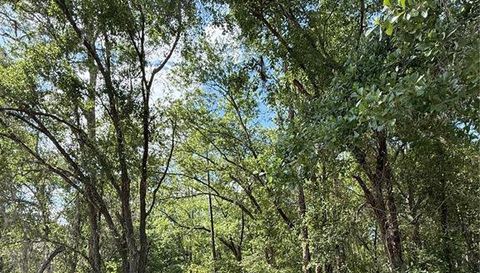 CREEKWOOD RUN