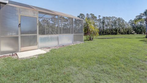 927 Orange Cosmos Blvd