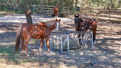 41025 Thomas Boat Landing ROAD