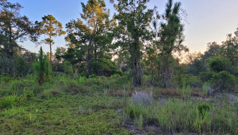 0 NE 61st. Ln. Williston FL 32696