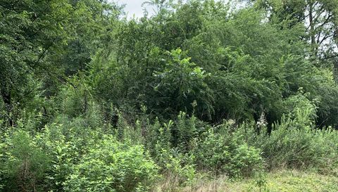 0 NE Cottonwood Street LEE FL 32059