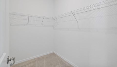 17604 FALLEN BRANCH WAY