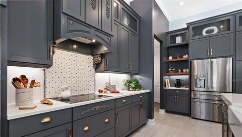 241 CONSERVATORY DRIVE