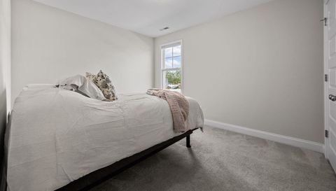 35 N Cinnamon Teal Dr