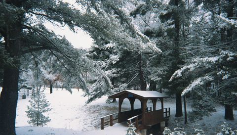 28931 Tall Moon Circle