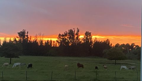 1071 S Header Canal Rd