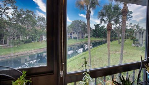 752 White Pine Tree