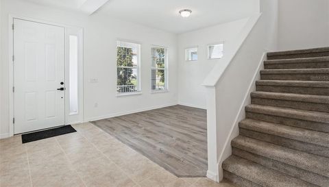 10037 AUSTRINA OAK