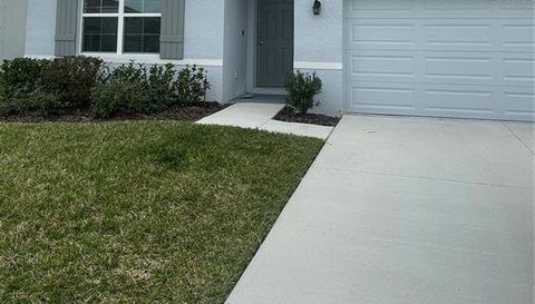 33724 Jasmine Star Loop