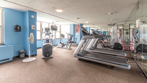 525 W Hawthorne Place