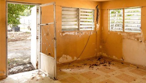 425 BRAVOS DE BOSTON