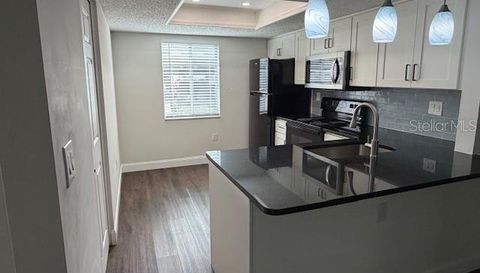 207 PALMETTO COURT