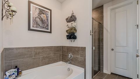 428 Trailing Lantana Ln