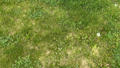 10069 Silver Lake Rd