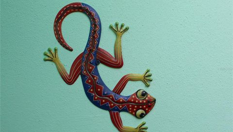 17 Calle Carlos Lebrun