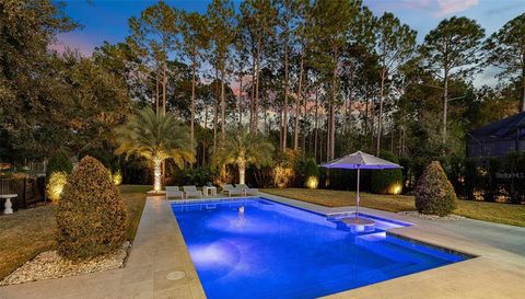 241 CONSERVATORY DRIVE