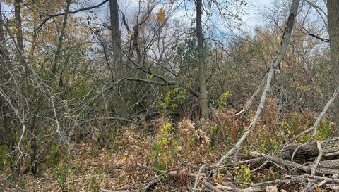 Xxx County 24 Boulevard