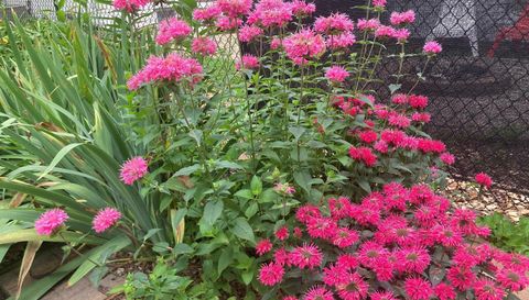 49 Sheridan Avenue S