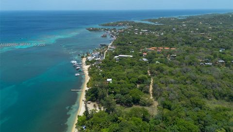 Roatan Island At Caribbean, Honduras