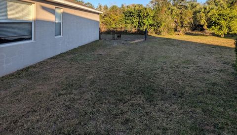 7051 Chatum Light Run