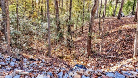 0 Hammock Rd Trussville