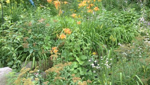 5833 Creek Valley Rd