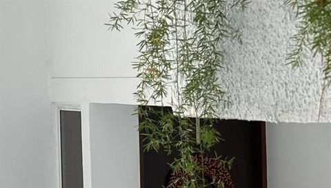 Isla Verde Avenue 3205 The Galaxy