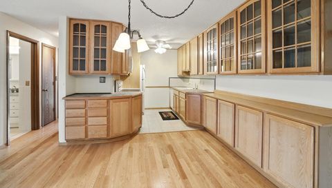 4 Pine Tree Drive
