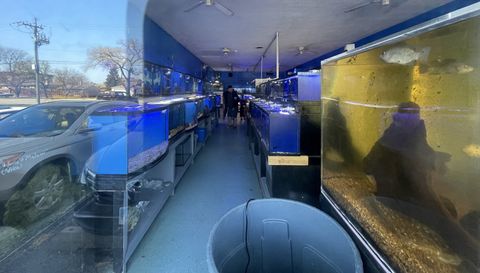 7701-7757 W Lawrence Avenue