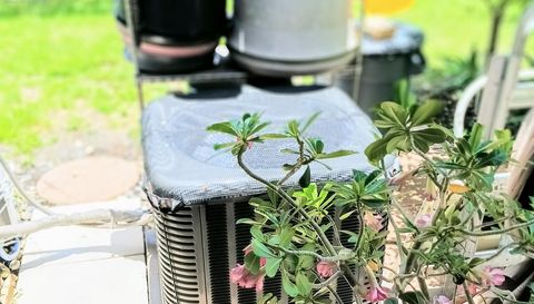 6640 121st Ave APT 1