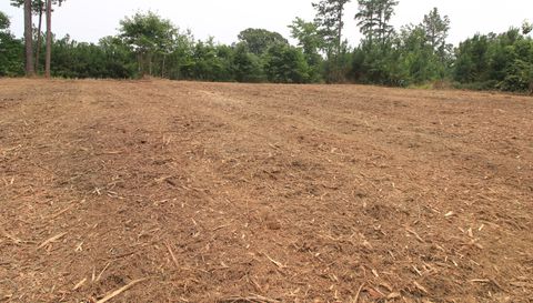 6147 Belfield Rd Lot 1