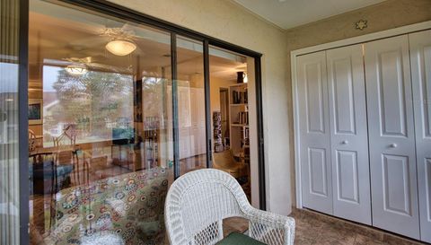752 White Pine Tree