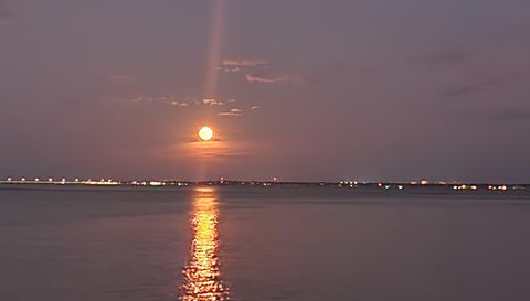 825 Bayshore Dr APT 1203