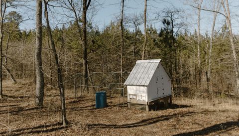 11161 State Highway 74