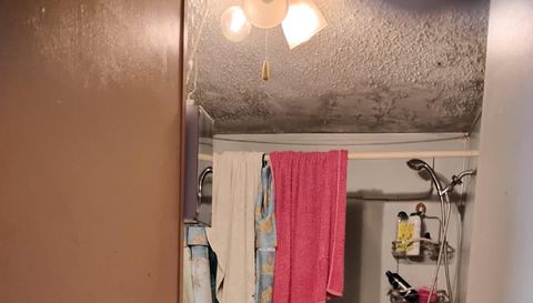 376 Fannie Branch Dr