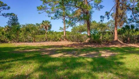 10131 Eagle Preserve Dr