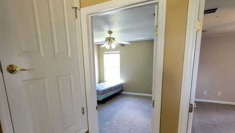 3145 Twisted Oak Loop