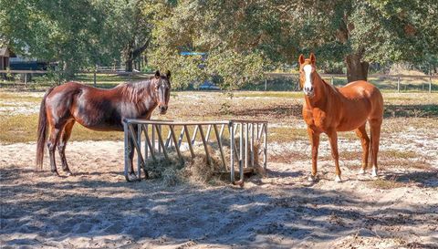 41025 Thomas Boat Landing ROAD