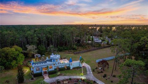 14502 SCOTCH PINE COURT