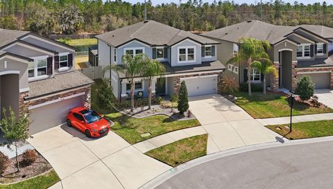 16146 Monterey Greens Cir