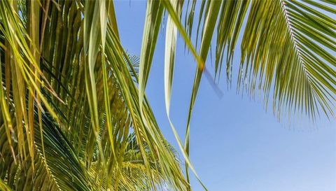 Roatan Island At Caribbean, Honduras