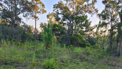 0 NE 61st. Ln. Williston FL 32696