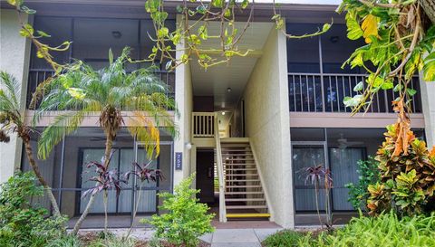752 White Pine Tree 206