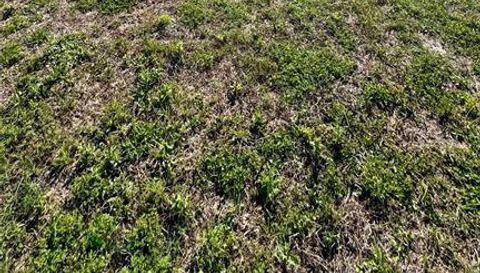 6709 COOPER CROSSING COURT