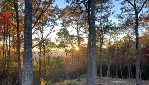 99999 Mountain Grove Ln.