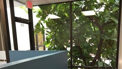 8370 W HILLSBOROUGH AVENUE