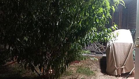 194 Bent Arrow Dr Destin FL 32541