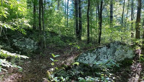 0 Trillium Heights Terrace